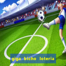 giga bicho loteria dos sonhos